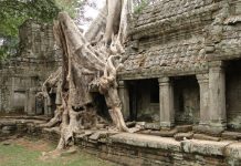 Hoteles en Camboya