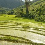 Trekking por Luang Namtha