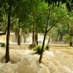 Kuang Si Waterfall, Luang Prabang
