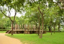 Presupuesto de viaje a Sri Lanka
