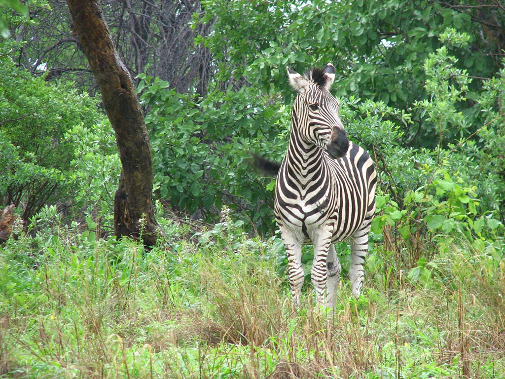 Botswana