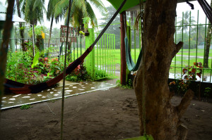 Hotel Tortuguero Natural, Tortuguero, Costa Rica
