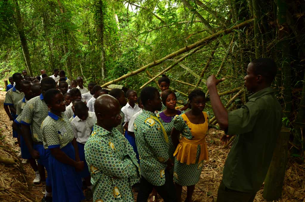 Grupo de escolares y profesores escuchando atentamente las explicaciones del guía