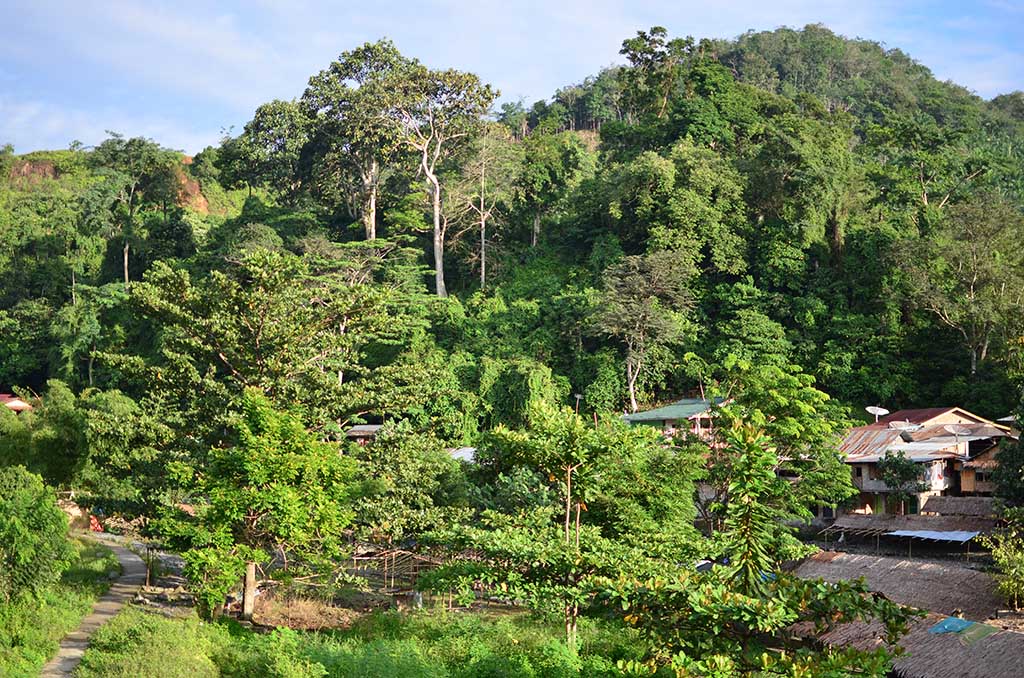 Vistas del Bukit Lawang