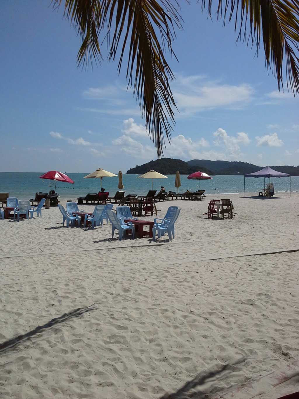 IMG_20150802_094726.jpg image