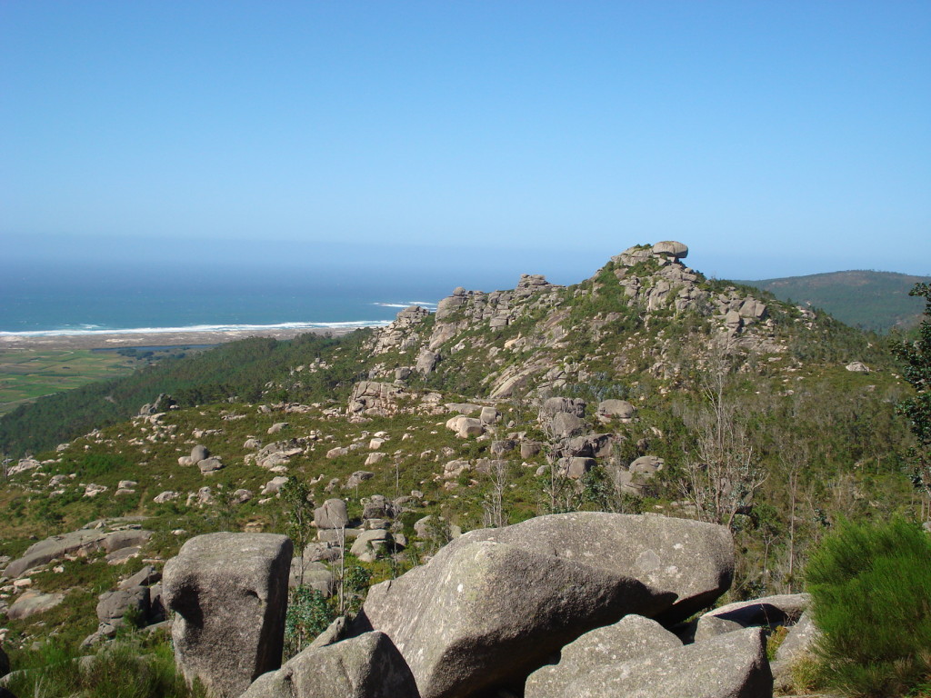 A Tartaruga de lonxe