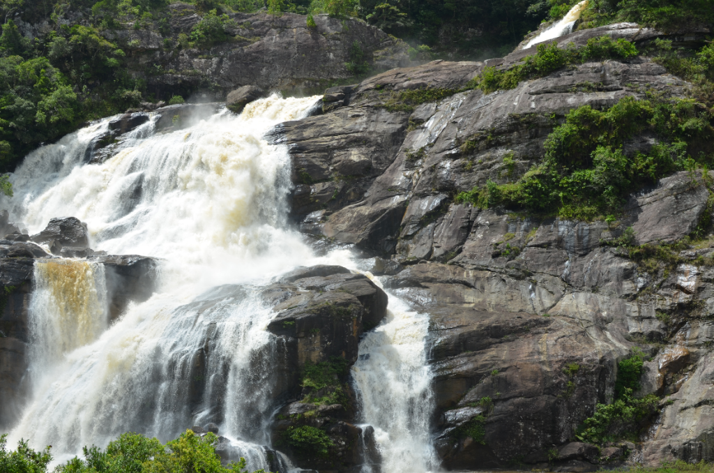 DSC_0365(1)