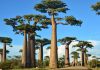 Madagascar