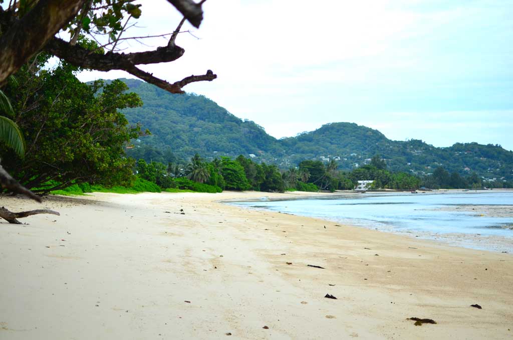 Playa Seychelles