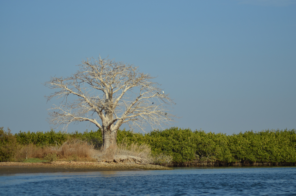 Delta del Saloum, Senegal