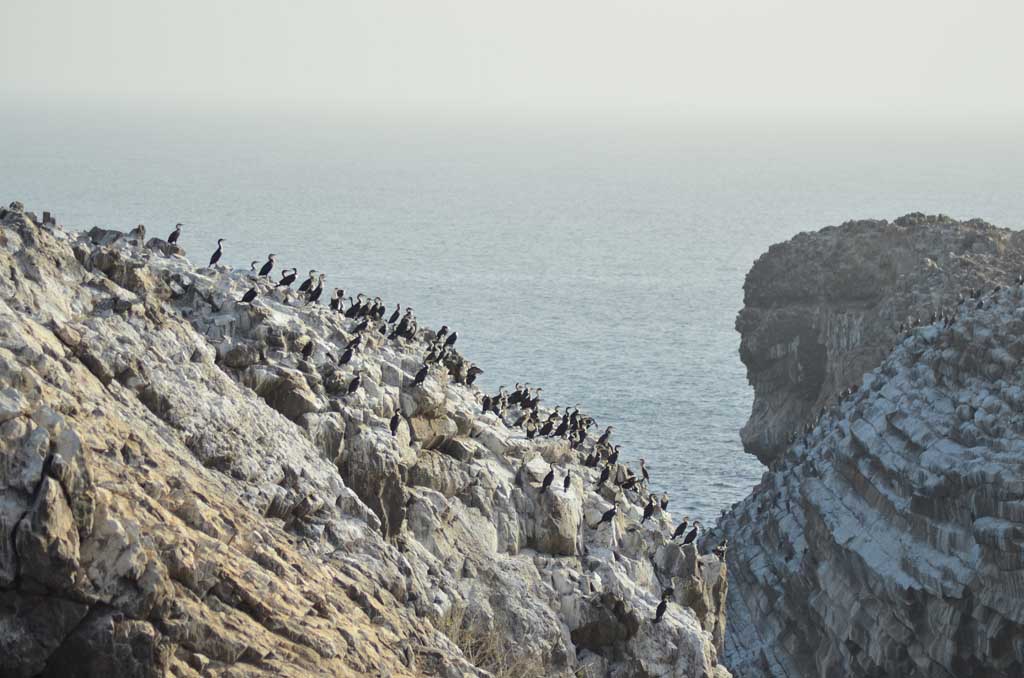 Isla de Madeleine, Dakar, Senegal