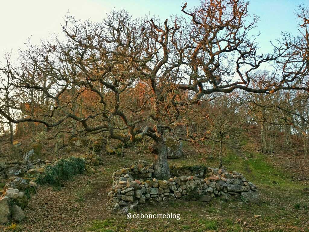 Allariz, Galicia, España