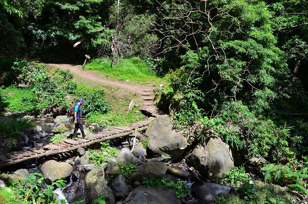 Actividades Azores