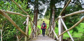 Actividades Azores