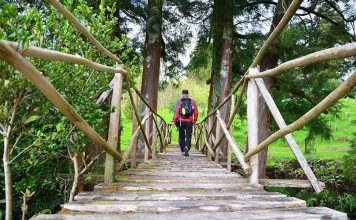Actividades Azores