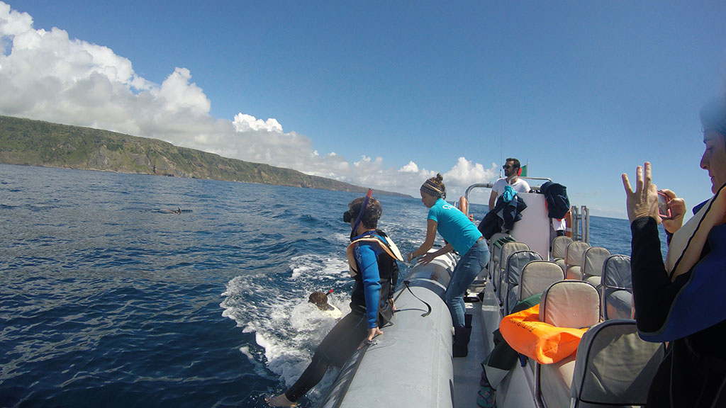 Actividades Azores