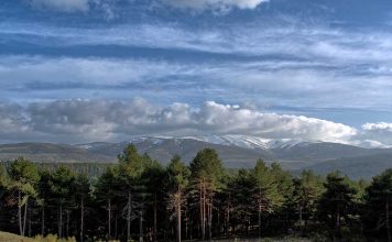 Sierra de Gredos, otoño en la montaña
