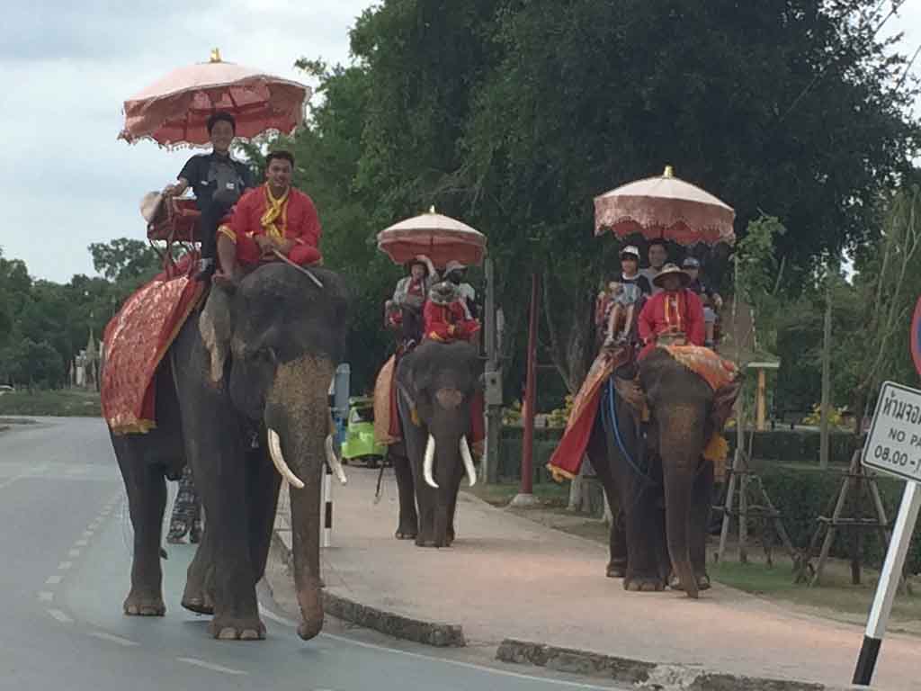 Ayutthaya elephant