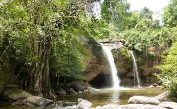 Parque Nacional de Khao Yai, Tailandia