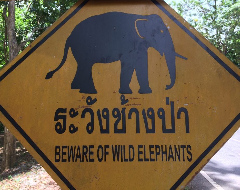 señal elefante Tailandia