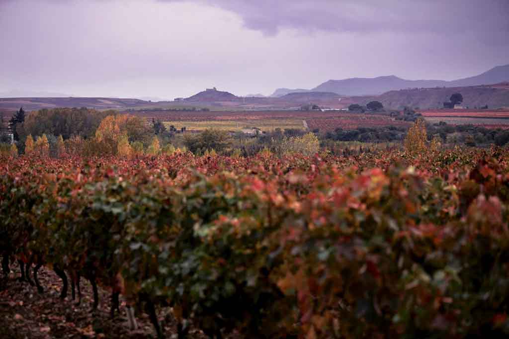 que ver en La Rioja