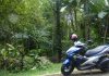 Moto Chiang Mai