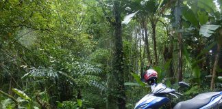 Moto Chiang Mai