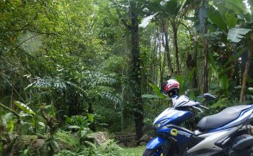 Moto Chiang Mai