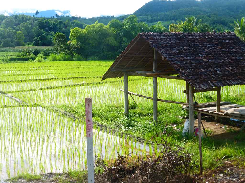 Paisajes en el Loop Mae Hong Son Paisajes en el Loop Mae Hong Son