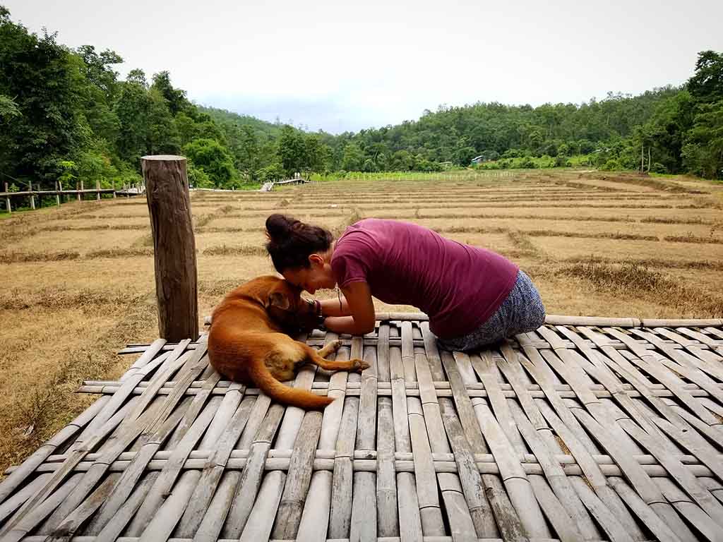 Puente de Bambú, Pai (Tailandia) Puente de Bambú, Pai (Tailandia)
