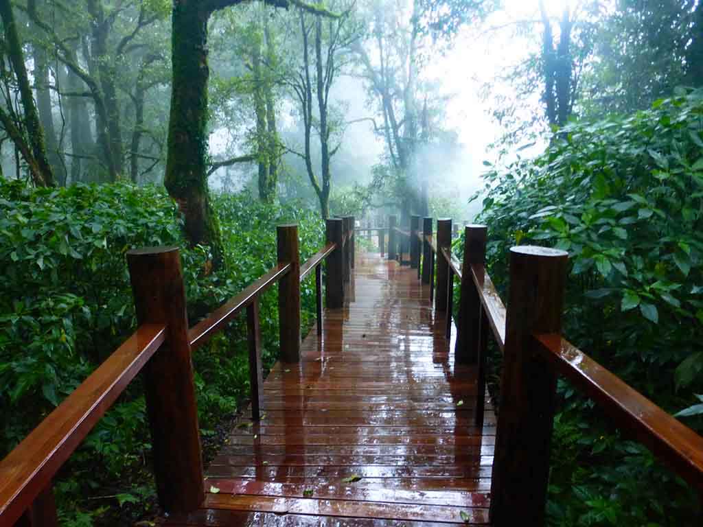 Parque Nacional Doi Inthanon, Tailandia Parque Nacional Doi Inthanon, Tailandia