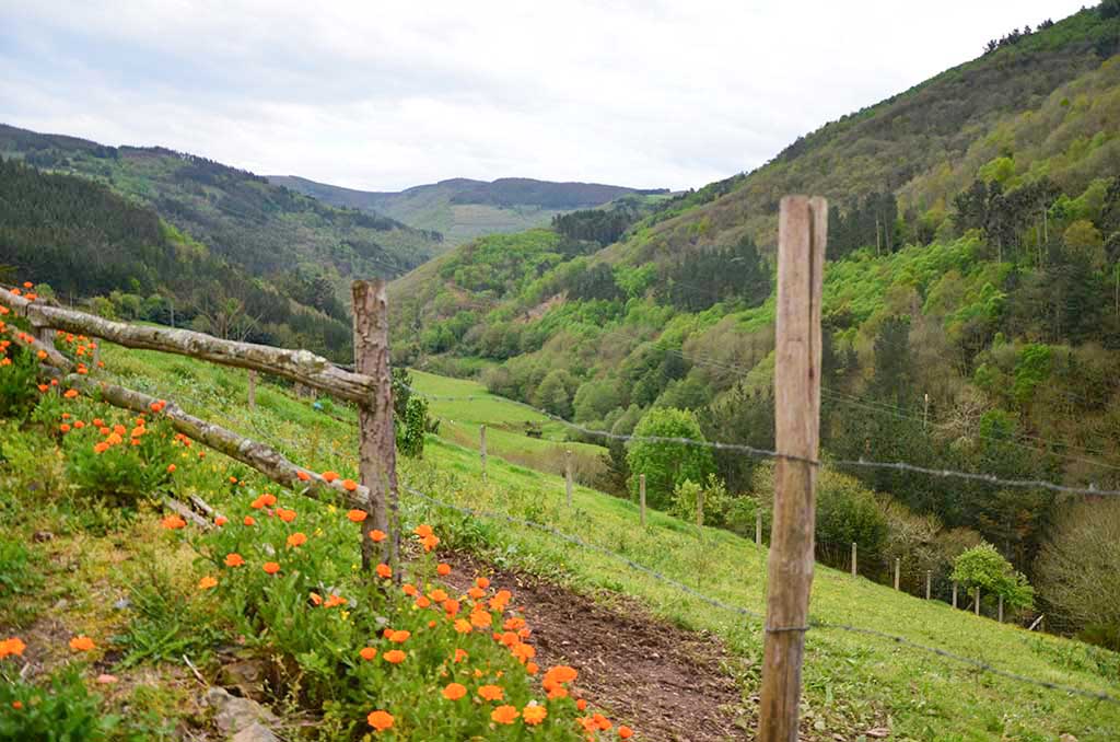 turismo rural, taramundi, bres, asturias
